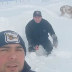 La tarea del rescate del animal les demandó un gran esfuerzo.