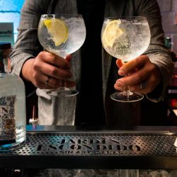 El gin, una bebida versátil para los bartenders que sedujo al paladar argento | Foto:CEDOC