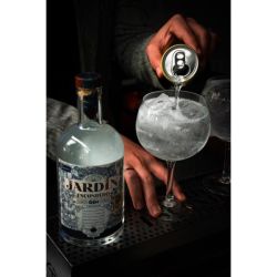 El gin, una bebida versátil para los bartenders que sedujo al paladar argento | Foto:CEDOC