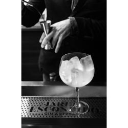 El gin, una bebida versátil para los bartenders que sedujo al paladar argento | Foto:CEDOC