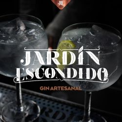 El gin, una bebida versátil para los bartenders que sedujo al paladar argento | Foto:CEDOC