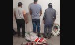 Detienen a tres cazadores furtivos con una gran cantidad de carpinchos faenados en Corrientes
