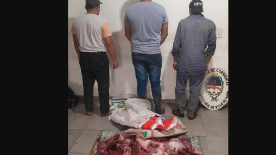 Detienen a tres cazadores furtivos con una gran cantidad de carpinchos faenados en Corrientes