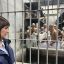 Milei slashes budget for state legal centres in favour of spending on prisons
