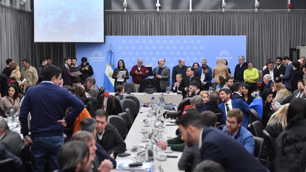 Debate de comisión en Diputados por la Ley Bases.