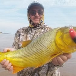 Las salidas en la zona de la represa, son de 3 horas de duración, y pueden realizar la actividad 3 pescadores por embarcación. En este sector, ingresan sólo dos lanchas uruguayas y la pesca es con devolución obligatoria. 