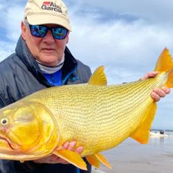 Las salidas en la zona de la represa, son de 3 horas de duración, y pueden realizar la actividad 3 pescadores por embarcación. En este sector, ingresan sólo dos lanchas uruguayas y la pesca es con devolución obligatoria. 