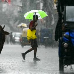 Los viajeros cruzan una calle durante la lluvia en Nueva Delhi, India. | Foto:ARUN SANKAR / AFP