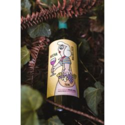 Nucha, el primer vino orgánico de Bodega Araujo | Foto:CEDOC