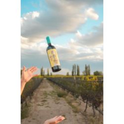 Nucha, el primer vino orgánico de Bodega Araujo | Foto:CEDOC