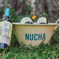 Nucha, el primer vino orgánico de Bodega Araujo | Foto:CEDOC