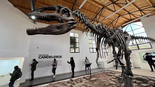 Investigadores descubren que muchos dinosaurios no rugían, sino que emitían sonidos parecidos a pájaros