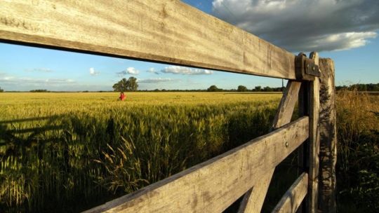 Pronostican calor intenso y menos lluvias durante los próximos tres meses en varias regiones argentinas