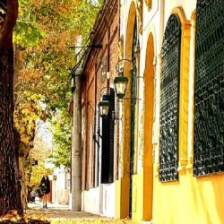 En Saladillo, el amor por los árboles está a flor de piel.