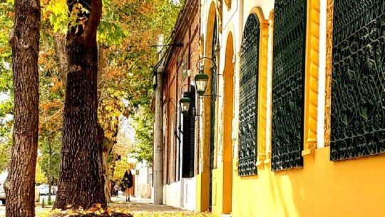 Día Mundial del Arbol: en Saladillo, se lo festeja y vive de una manera muy especial