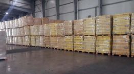 Alimentos Capital Humano 20240629