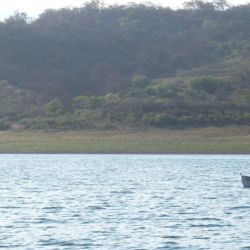 Desde la Agencia de Desarrollo Sostenible de los diques se estableció un límite de piezas de pejerrey, que es la especie predominante, de 25 unidades con una medida mínima de 20 centímetros.