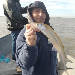 Pescar fue una quimera en la costa en este fin de semana, con una condición del mar totalmente desfavorable. 