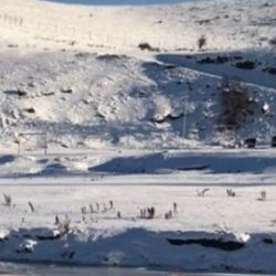 El río Turbio apareció totalmente congelado.