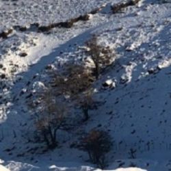 El río Turbio alimenta de agua potable a gran parte de la región provincial,