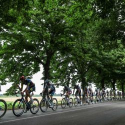 El grupo de ciclistas recorre una carretera arbolada en la región de Lombardía durante la tercera etapa de la 111ª edición de la carrera ciclista del Tour de Francia, 230,5 km entre Piacenza y Turín, en Italia. | Foto:Thomas Samson / AFP