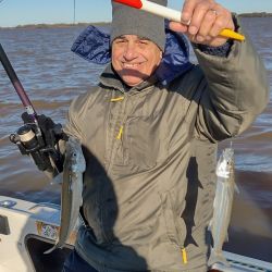 El pique sobre el Paraná Guazú suele ser muy veloz y el pejerrey brinda una linda pelea antes de llegar a la embarcación. Es una pesca enérgica y de buen gusto, debiendo estar bien atentos ante cada pique.