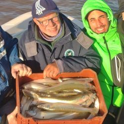 El pique sobre el Paraná Guazú suele ser muy veloz y el pejerrey brinda una linda pelea antes de llegar a la embarcación. Es una pesca enérgica y de buen gusto, debiendo estar bien atentos ante cada pique.