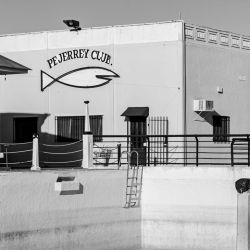 Construido sobre pilotes de acero, el Pejerrey Club cuenta, desde 1989, con un muelle de 376 m, uno de los espigones más largos de Sudamérica con aguas pasantes.