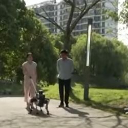 El novedoso perro robot guía acaba de ser presentado oficialmente.