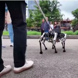 Puede comunicarse con su dueño gracias a la inteligencia artificial.