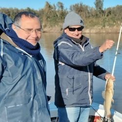 Sauce Viejo se distingue por islas y barrancas que conforman un paisaje ribereño increíble, con una exultante flota y fauna.