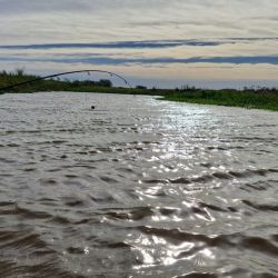 Foto: Sauce Viejo se distingue por islas y barrancas que conforman un paisaje ribereño increíble, con una exultante flota y fauna.