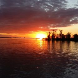 Sauce Viejo se distingue por islas y barrancas que conforman un paisaje ribereño increíble, con una exultante flota y fauna.