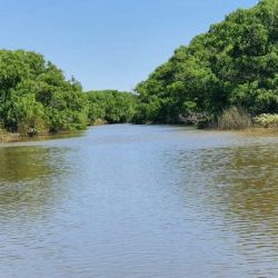 Abundan las propuestas para ir por un buen premio este fin de semana.