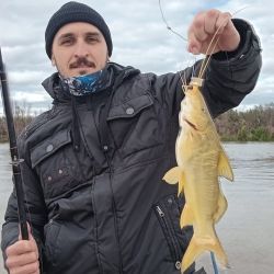 En una región con variedad de especies, hoy la atracción pasa por la variada de piel y los doradillos. 