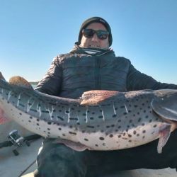 Hay abundante presencia de los dorados, con chicos, medianos y muy buenos ejemplares también, lo que genera una adrenalina impresionante por la intensidad de piques. Además, pacúes y surubíes.