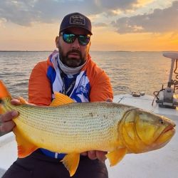 Hay abundante presencia de los dorados, con chicos, medianos y muy buenos ejemplares también, lo que genera una adrenalina impresionante por la intensidad de piques. Además, pacúes y surubíes.