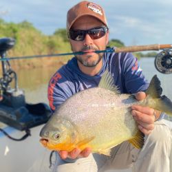 Hay abundante presencia de los dorados, con chicos, medianos y muy buenos ejemplares también, lo que genera una adrenalina impresionante por la intensidad de piques. Además, pacúes y surubíes.