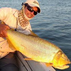 Hay abundante presencia de los dorados, con chicos, medianos y muy buenos ejemplares también, lo que genera una adrenalina impresionante por la intensidad de piques. Además, pacúes y surubíes.