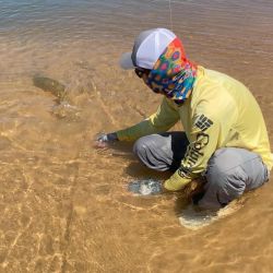 Hay abundante presencia de los dorados, con chicos, medianos y muy buenos ejemplares también, lo que genera una adrenalina impresionante por la intensidad de piques. Además, pacúes y surubíes.