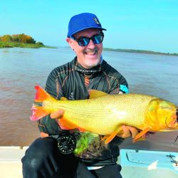 La pesca en fly de dorados es un trabajo en equipo: un pescador en cada punta y el guía maniobrando la lancha con el motor eléctrico para poner a tiro al aficionado de acuerdo a sus capacidades técnicas. Haciendo bien las cosas se fueron sumando lingotes de hasta 2,5 kilos.