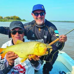 La pesca en fly de dorados es un trabajo en equipo: un pescador en cada punta y el guía maniobrando la lancha con el motor eléctrico para poner a tiro al aficionado de acuerdo a sus capacidades técnicas. Haciendo bien las cosas se fueron sumando lingotes de hasta 2,5 kilos.