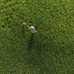 Esta fotografía aérea muestra a un agricultor trabajando en un arrozal en Hoi An, provincia vietnamita de Quang Nam. | Foto:DALE DE LA REY / AFP