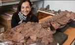 Africa: una paleontóloga argentina encontró restos fósiles de un milenario tetrápodo basal gigante