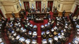 Sesión especial en el Senado de la Nación.