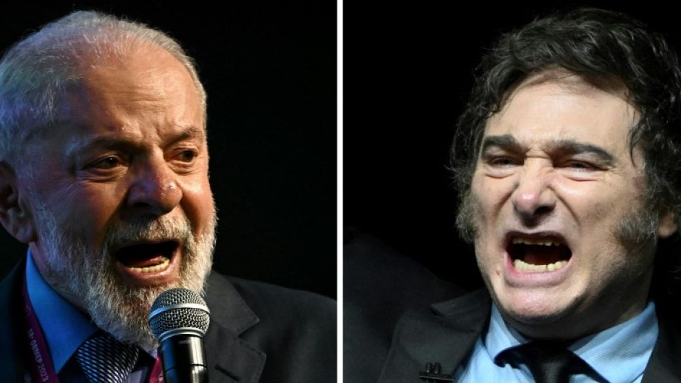 Lula da Silva y Javier Milei 20240703