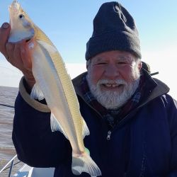 Con una costa bonaerense que no se favoreció por el clima, lo mejor, en los últimos 7 días estuvo en el litoral y las lagunas. 
