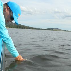 Con una costa bonaerense que no se favoreció por el clima, lo mejor, en los últimos 7 días estuvo en el litoral y las lagunas. 