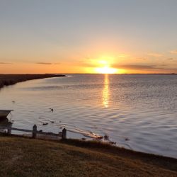 Con una costa bonaerense que no se favoreció por el clima, lo mejor, en los últimos 7 días estuvo en el litoral y las lagunas. 