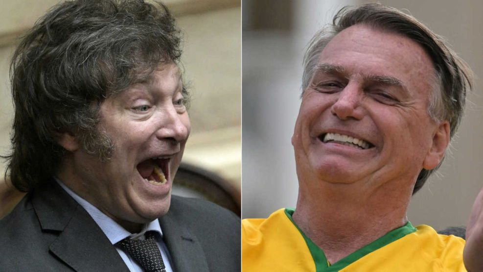 Javier Milei y Jair Bolsonaro 20240705